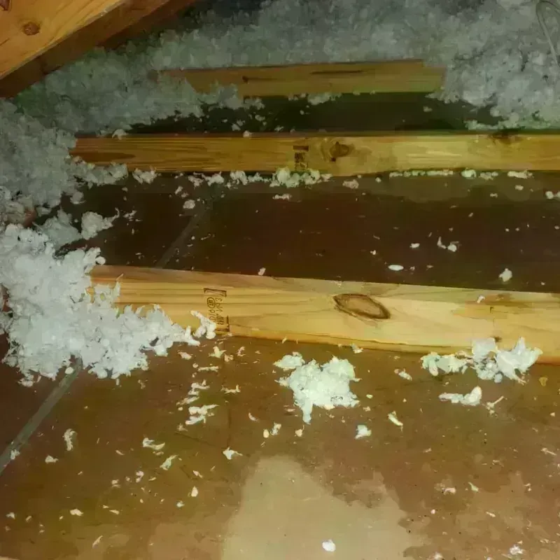 Attic Water Damage in California, MO