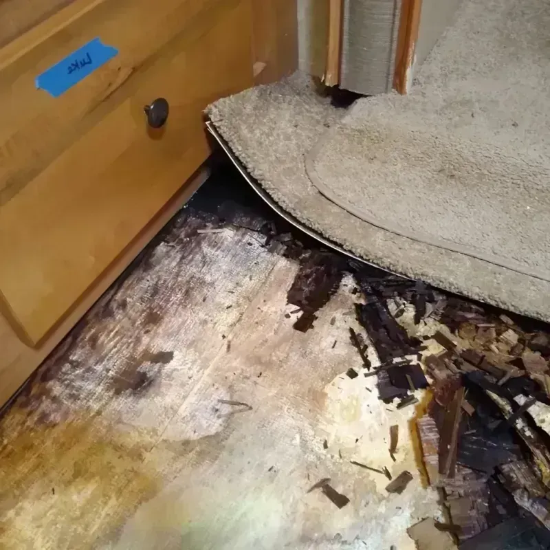 Wood Floor Water Damage in California, MO